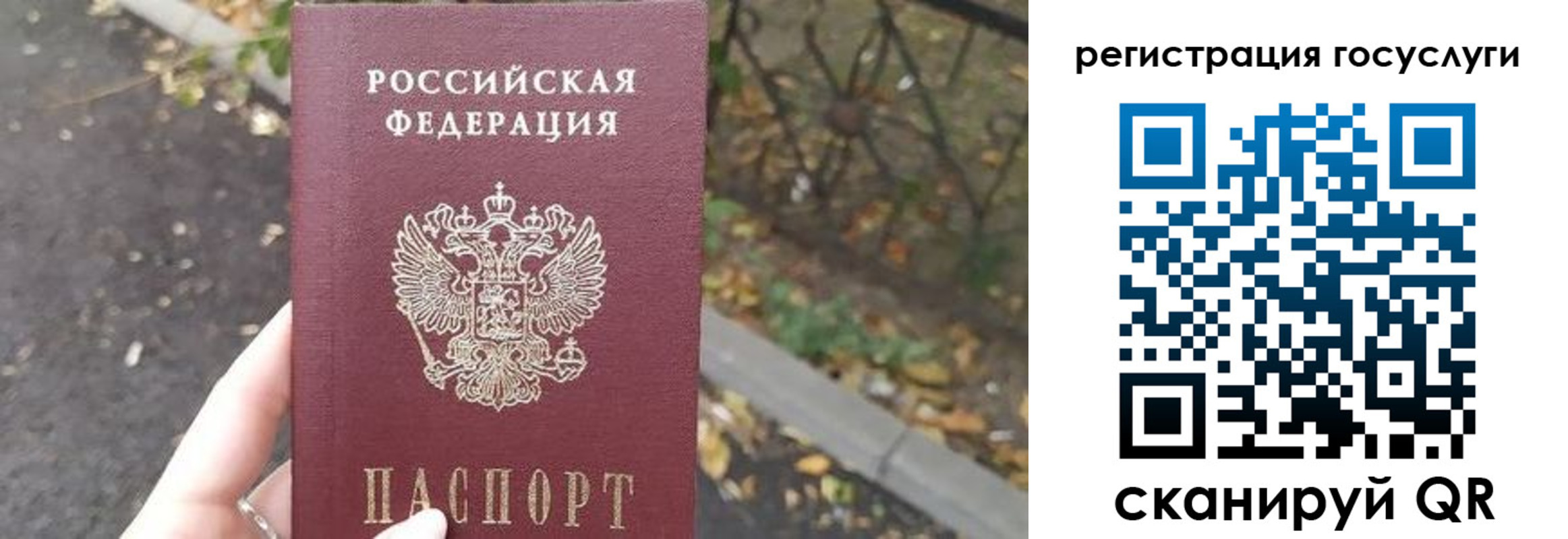 купить прописку в Покрове